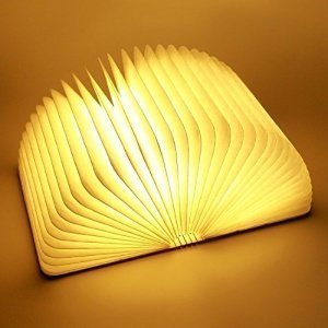 LED-Licht Buchlampe warmweiß