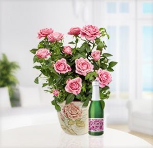 Muttertagsgruß mit Muttertagssekt