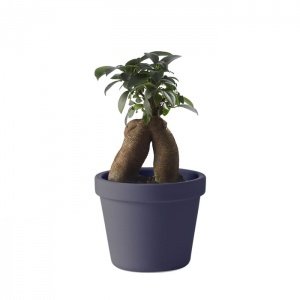 Muuto Outside In Blumentopf Lila klein