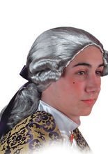 Mylord Baroque Tail Wig grey