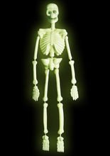 Nachtleuchtendes Knochengerüst 92cm
