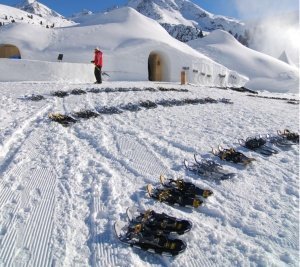 Nächtliche Schneeschuhwanderung mit Rode