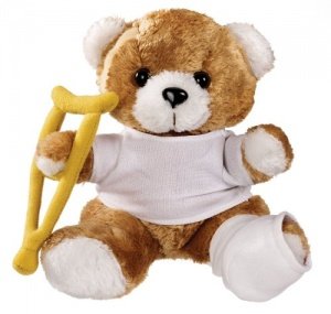 Prestige Medical Patient Bear