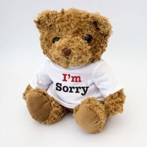 I-M SORRY Teddybär