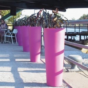 New Pot Maxi Blumentopf