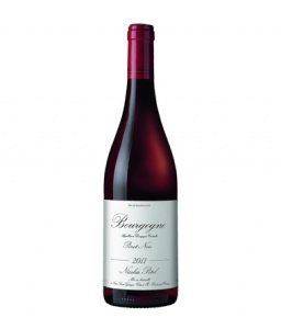 Nicolas Potel Bourgogne Pinot Noir (750m