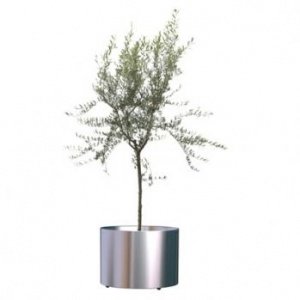 NOX FLORA 1681 Blumenübertopf von Rexite