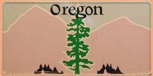 Nummernschild Oregon mit individuellem W