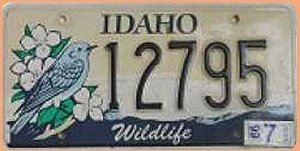 Nummernschilder: USA Grafiknummernschild