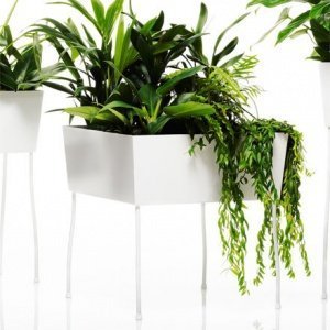 Oasis Green Pedestal Pflanzentrog quadra