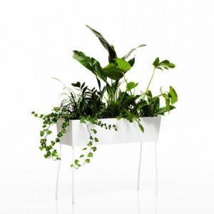 Oasis Green Pedestal Pflanzentrog rechte