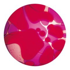 Ölscheibe Violett/Rot für Mathmos Space 