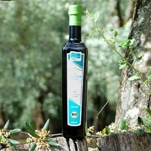 Olearia San Giorgio L Aspromontano BIO T