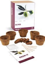 Oliven Pflanzenzucht-Set weiss