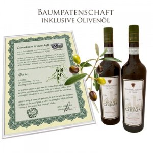 Olivenbaum Patenschaft
