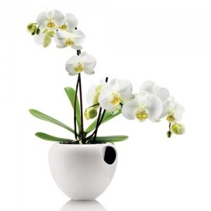 _ ORCHID POT Orchideentopf. weiß
