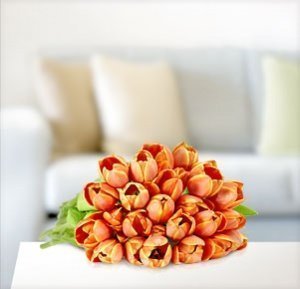 Orangefarbene Tulpen