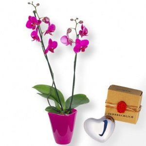 Orchidee pink und Klangherz