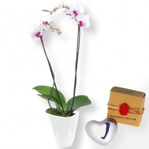 Orchidee weiß und Klangherz