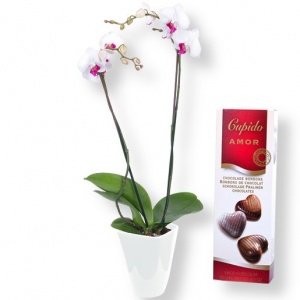 Orchidee weiß und Pralinen-Herzen