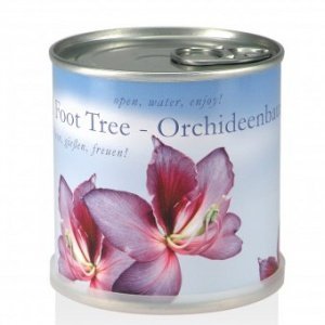Orchideenbaum aus der Dose