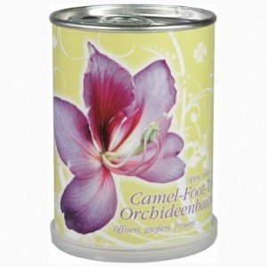 Orchideenbaum aus der Dose
