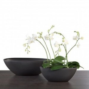 Orchideenschiff Zen Anthrazit