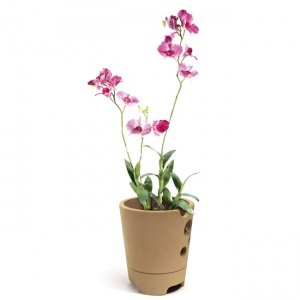 Orchideentopf, 2-tlg.