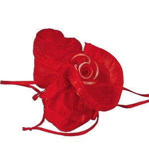 Organzakreis mit Zugband, rot