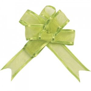 Organzaschleife Maxi, grün, 5 St.