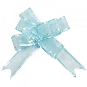 Organzaschleife Mini, hellblau, 5 St.