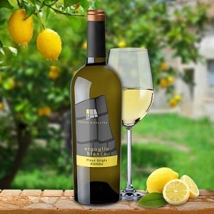 Orgoglio Pinot Grigio e Zibibbo Baglio G