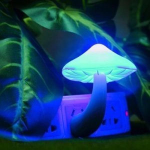 Pilz LED-Nachtlicht Traum