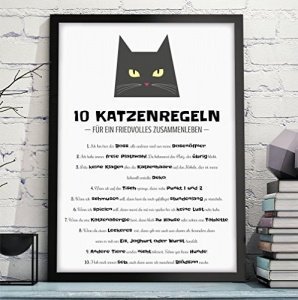OWLBOOK "10 KATZENREGELN - HAUSORDNUNG" hochwertiger Kunstdruck mit Katze - lustiges Bild mit Spruch