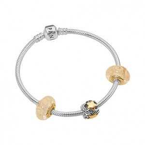 Pandora Armband