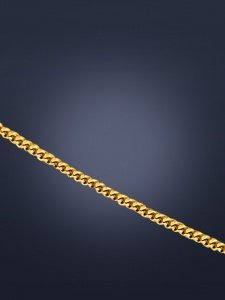 Panzerkette aus Gelbgold 585