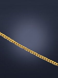 Panzerkette aus Gelbgold 585