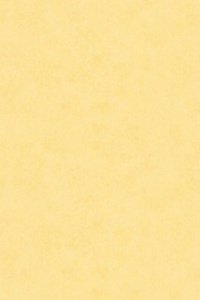 Papier-Tapete dots stripes plain