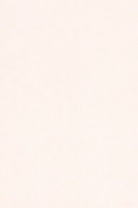 Papier-Tapete eco plain