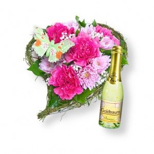 Papillon und Goldtraum-Piccolo