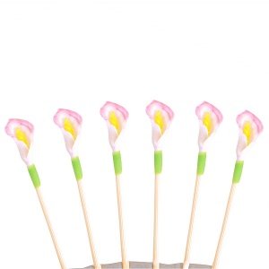 Partypicker Calla, 6 St.