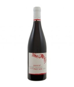 Pascal Marchand Pinot Noir des Villages 