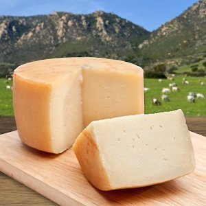 Pecorino Brigante Pinna junger Schafskäs