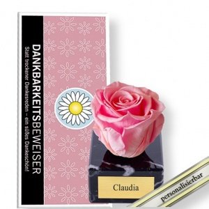 Personalisierte Ewige Verbundenheit rosa