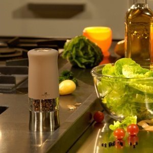 Peugeot Pfeffermühle ZEPHIR elektrisch 1