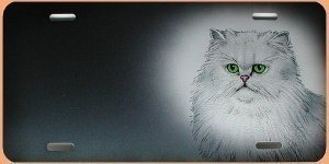 persönliche Geschenkidee Airbrush - Auto