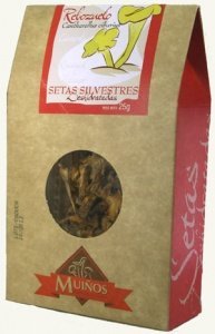 Pfifferlinge (Cantharellus cibarius) get