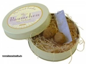 Pflanz ein Bäumchen zur Geburt das etwas