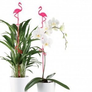 Pflanzenstab Flamingo transparent neonpi