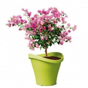 Pflanzgefäß 251 Wave Garden Living Green